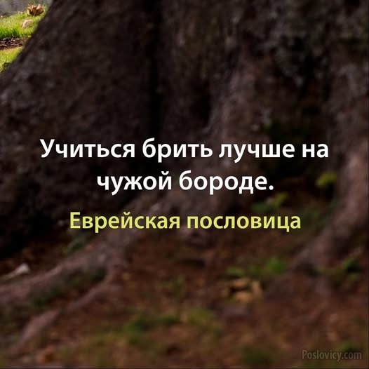 Веселое настроение в картинках (20.11.2025)