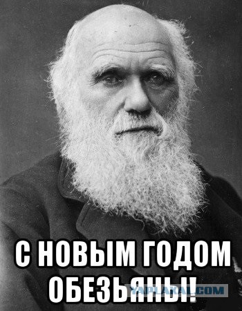 В ярославском магазине фитнес-тренер ударил ногой в живот посетительницу за то, что та якобы не пропустила в дверях его пассию