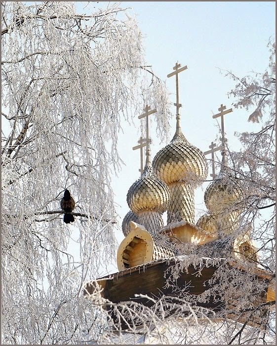 Прикольные и просто красивые картинки 30.12.2025