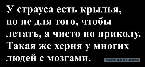 Уже не смешно. ФОМ: 77% россиян доверяют Владимиру Путину
