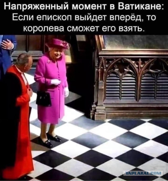 Веселые картинки в пятницу (14.08)