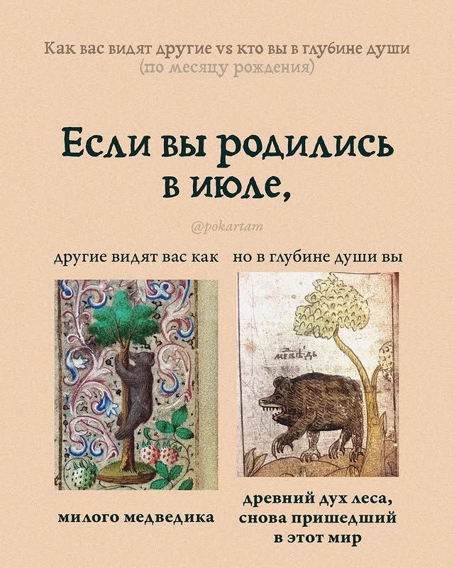 В шафутинов день, но без него