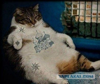 Страны где геев "ждут"? :)))