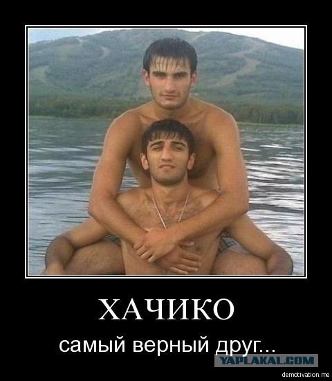 Четверо кавказцев...