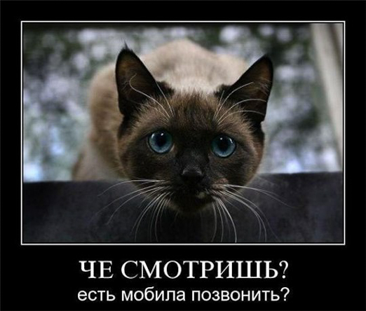 Эйнштейн как в воду глядел