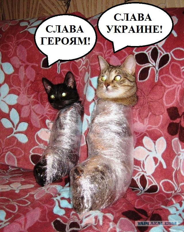 Крымчане о происходящем