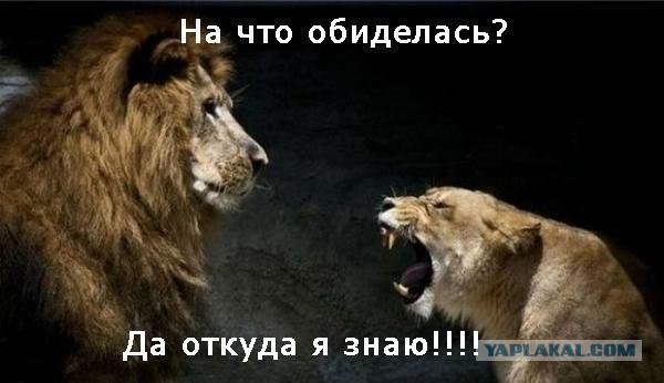 Весёлые картинки. Разбавим будни