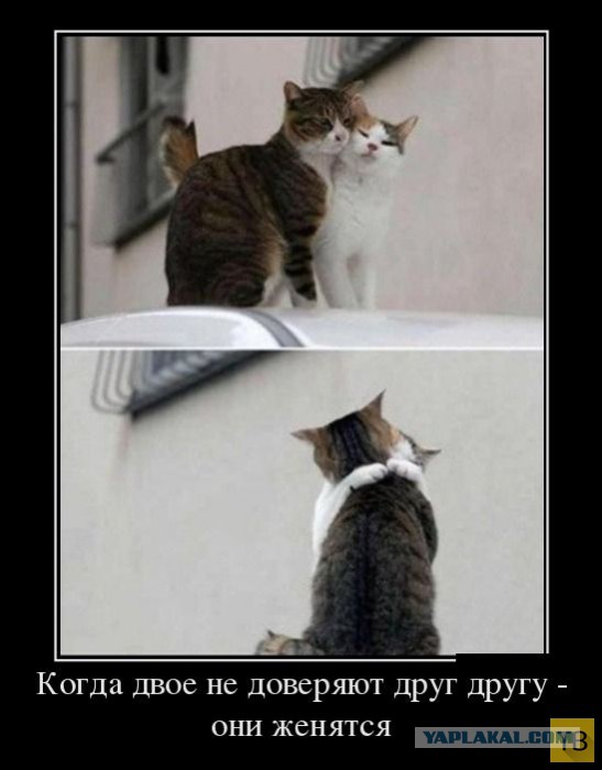Самые злобные демотиваторы