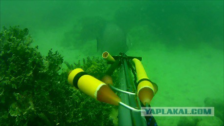 Каникулы во Флориде