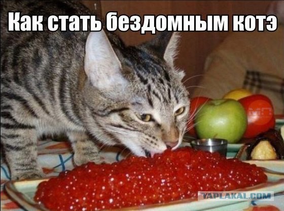 Когда устоять невозможно!