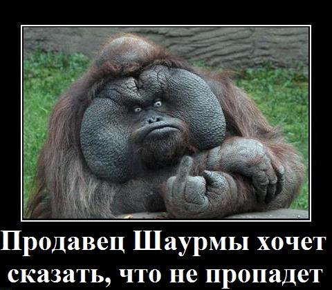 Кто обрадуется больше всего, если запретят шаурму