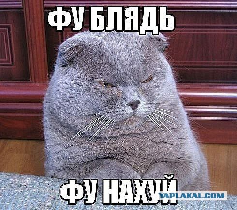 Девушки из соц. сетей