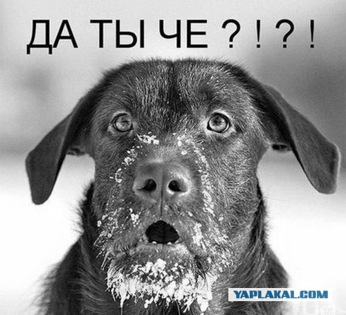 А стоит ли жениться?