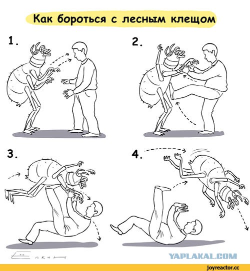 Клещи