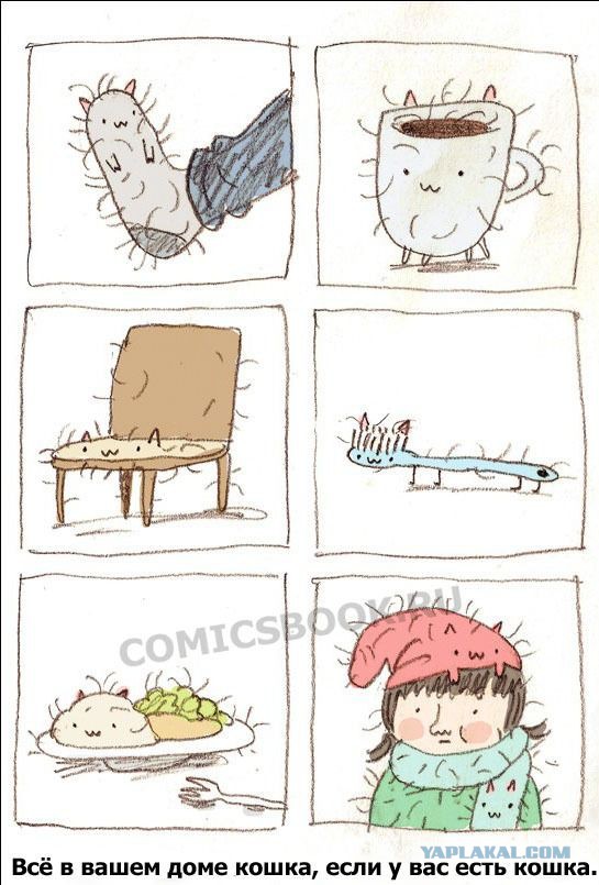 Котокомиксы