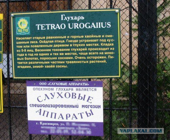 15 рекламных примеров ....