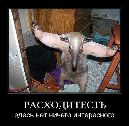 Мемы вспоминаем и добавляем....