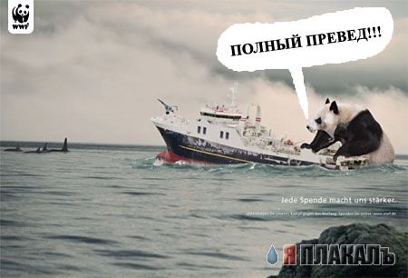 Превед медвед!