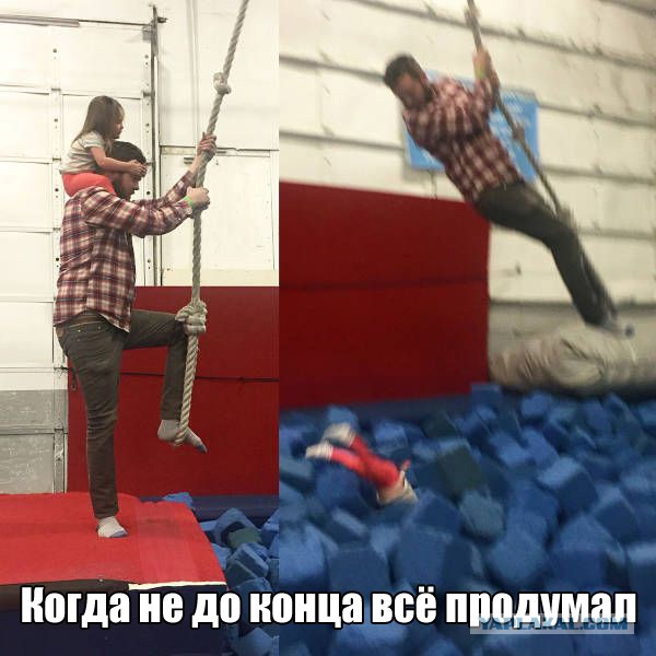 Весёлые картинки