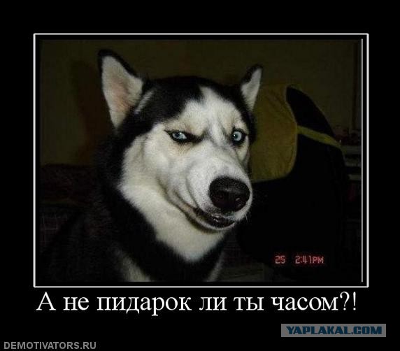 Мужчина заказал генетическую экспертизу, чтобы не платить долги по алиментам
