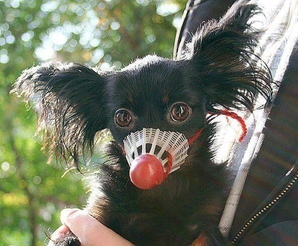 Подборка картинок 17.02.16