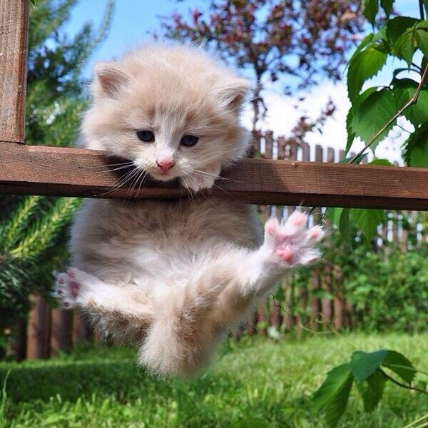 Подборка картинок 24.02.16