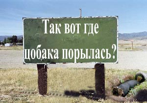 Фотожаба: Интересный подсчет населения