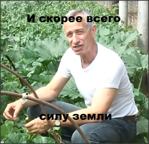 Картофельный чопик или лечение секретарши от геммороя