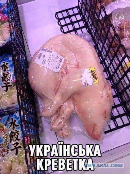 Подборка интересных и веселых картинок
