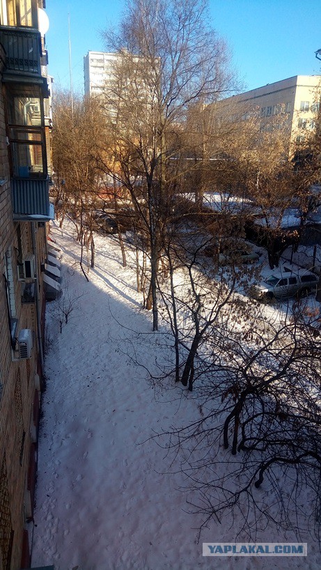Городские парковки должны быть бесплатными