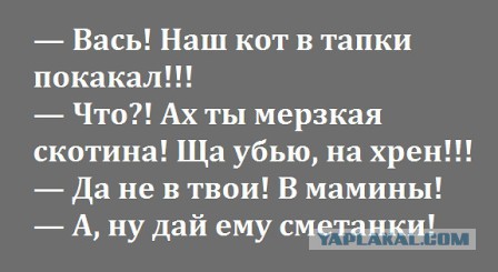 Картинки в черных рамках с подписями