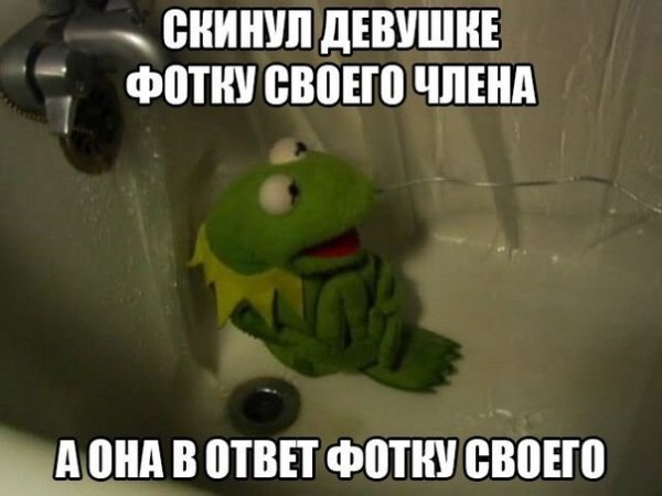 Поржать-погрустить-задуматься картинок пост