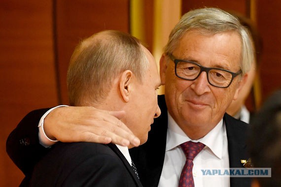 Выборы-2018. Кого выберет ЯП? Опрос
