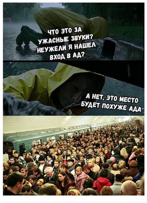 100 картинок для поднятия настроения!