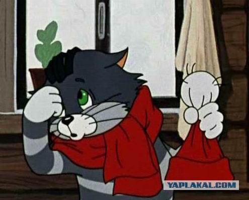 Когда жена быдло