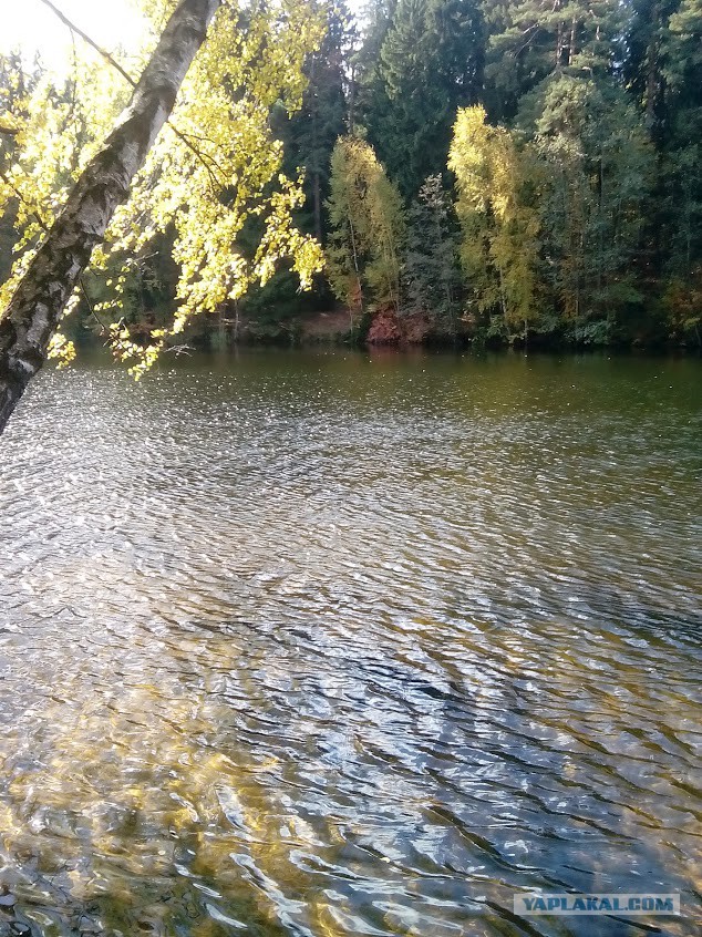 Просто Природа