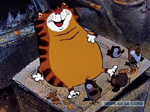 Почему я не люблю Штаты