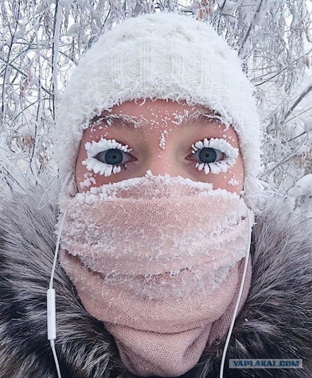 24 зимних фотографии, которые отражают всю боль этого времени года