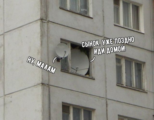 Подборка интересных и веселых картинок