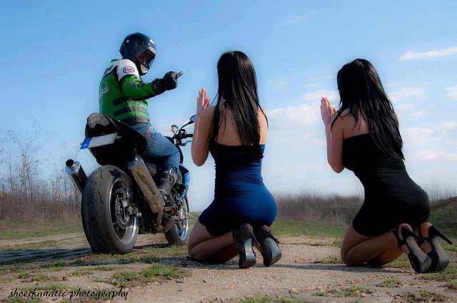 Итоги проверки пользователей