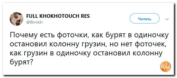Политоты пост