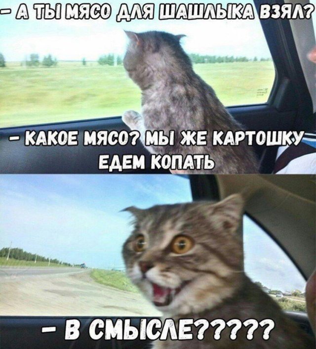 Нестандартный юмор