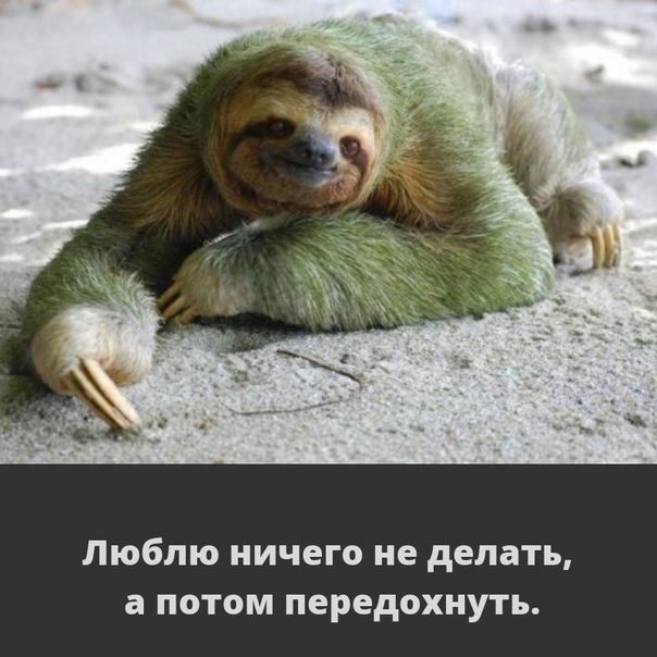 Немного картинок на эти выходные