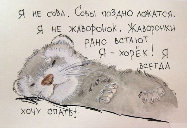 К классификации людей на "сова / жаворонок" добавился новый пункт
