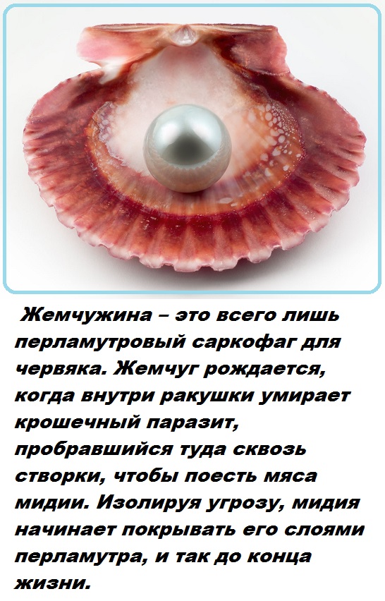 Критические последствия забитого сапуна