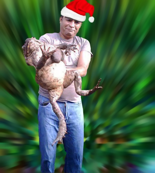 Царевна - лягушка