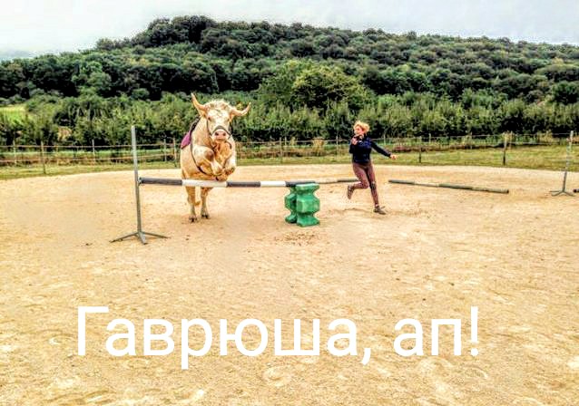 Что выберешь ты?