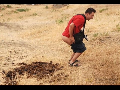 Рыбка из Ленты...