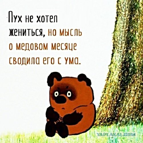 Немного картинок для настроения