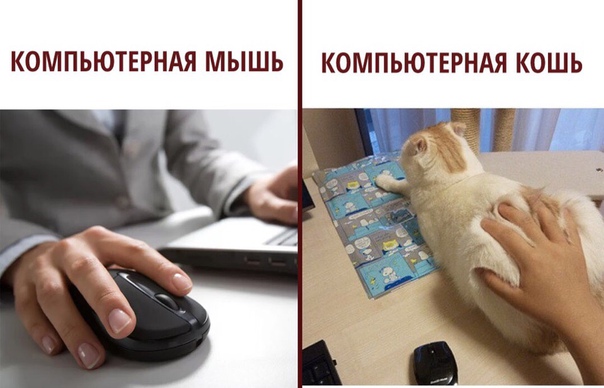 Немного картинок для настроения 29.11.19